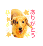 ロン子さんの1日（個別スタンプ：10）