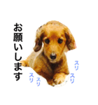 ロン子さんの1日（個別スタンプ：11）