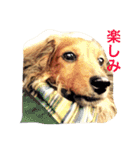 ロン子さんの1日（個別スタンプ：14）