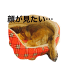 ロン子さんの1日（個別スタンプ：21）