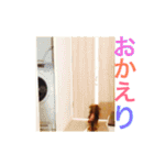 ロン子さんの1日（個別スタンプ：22）