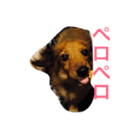 ロン子さんの1日（個別スタンプ：24）