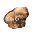 Elle3（個別スタンプ：5）