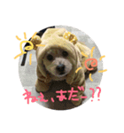 chobi.ren2（個別スタンプ：10）
