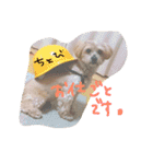 chobi.ren2（個別スタンプ：11）