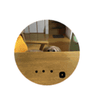 chobi.ren2（個別スタンプ：14）