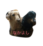 ほのぼのクンクン（個別スタンプ：7）