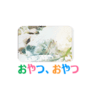 Lucky Shih Tzu（個別スタンプ：9）