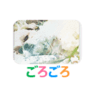 Lucky Shih Tzu（個別スタンプ：16）