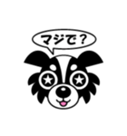 dog Chihuahua koko（個別スタンプ：2）