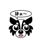 dog Chihuahua koko（個別スタンプ：3）