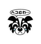 dog Chihuahua koko（個別スタンプ：5）
