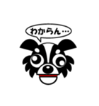 dog Chihuahua koko（個別スタンプ：6）