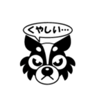 dog Chihuahua koko（個別スタンプ：7）