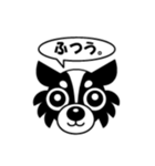 dog Chihuahua koko（個別スタンプ：8）
