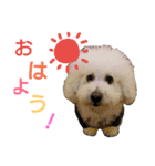 みるくのえそらごと（個別スタンプ：1）