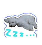みるくのえそらごと（個別スタンプ：7）