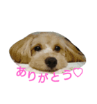 みるくのえそらごと（個別スタンプ：9）