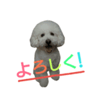 みるくのえそらごと（個別スタンプ：11）