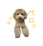みるくのえそらごと（個別スタンプ：13）