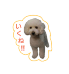 みるくのえそらごと（個別スタンプ：15）
