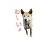 みるくのえそらごと（個別スタンプ：16）