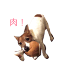 かんたろうのスタンプ（個別スタンプ：5）