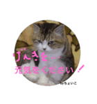 Tyoiko-Sama（個別スタンプ：13）