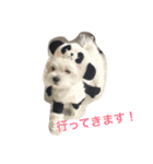 マシュー君 1（個別スタンプ：6）