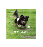 れおたんの日常（個別スタンプ：2）
