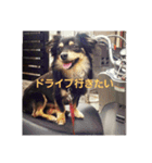 れおたんの日常（個別スタンプ：7）