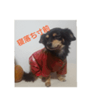 れおたんの日常（個別スタンプ：11）