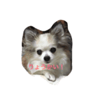 ハッピーの日常（個別スタンプ：4）
