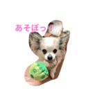 ハッピーの日常（個別スタンプ：7）