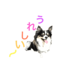 パトラ＆レオン2（個別スタンプ：2）