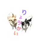 パトラ＆レオン2（個別スタンプ：5）