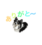 パトラ＆レオン2（個別スタンプ：8）