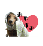 かわいいお犬様スタンプ（個別スタンプ：3）
