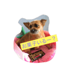 りんりんレオンチョコ♡（個別スタンプ：6）