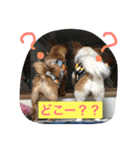 りんりんレオンチョコ♡（個別スタンプ：8）