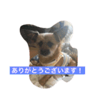 りんりんレオンチョコ♡（個別スタンプ：18）