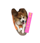 りんりんレオンチョコ♡（個別スタンプ：21）