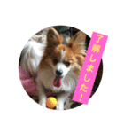 りんりんレオンチョコ♡（個別スタンプ：34）