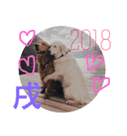 happy life 2018（個別スタンプ：7）