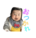 HARUKI desuyo（個別スタンプ：1）