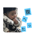 HARUKI desuyo（個別スタンプ：6）
