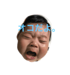 HARUKI desuyo（個別スタンプ：11）