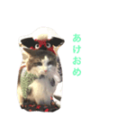ノルジャンのくー その3（個別スタンプ：5）