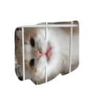 すこスタ1（個別スタンプ：8）