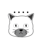 Single face cat（個別スタンプ：1）